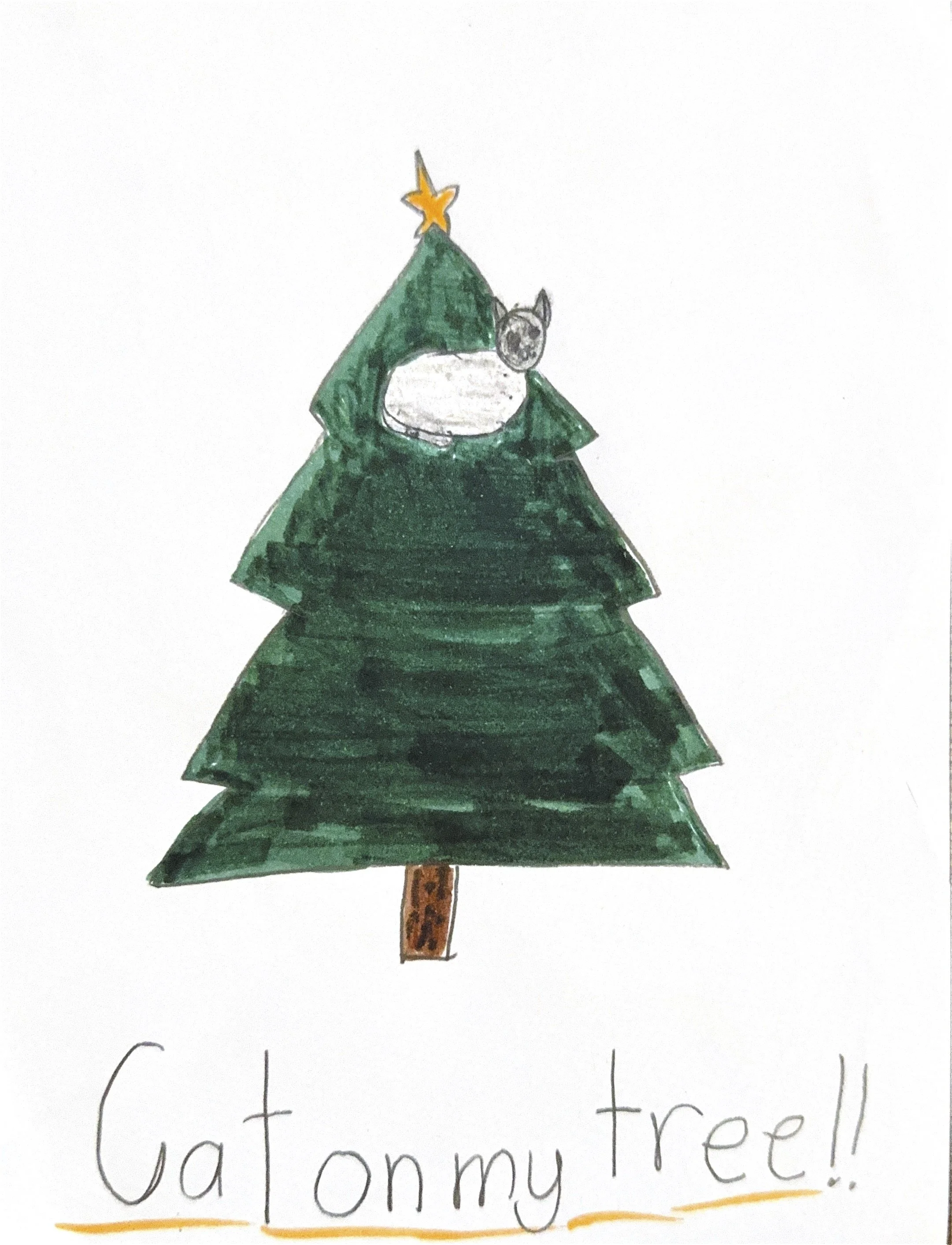 Child's drawing of a Christmas tree with a cat lying on one of the branches, topped with a yellow star, and the words "Cat on my tree!!" written below.