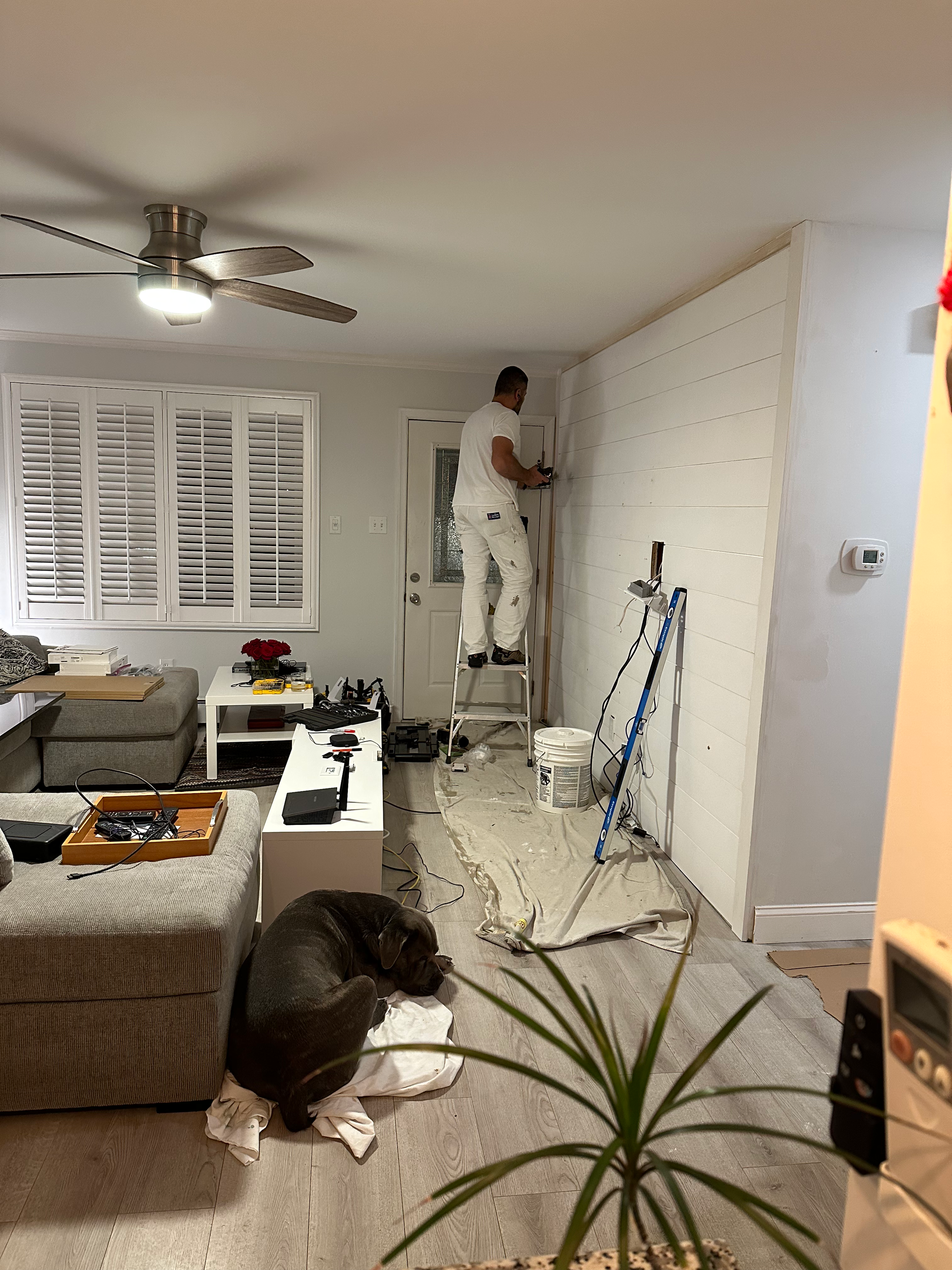Man standing on a ladder working on a wall in a living room, with tools and equipment scattered around, a dog lying on a blanket, and a ceiling fan on the ceiling.