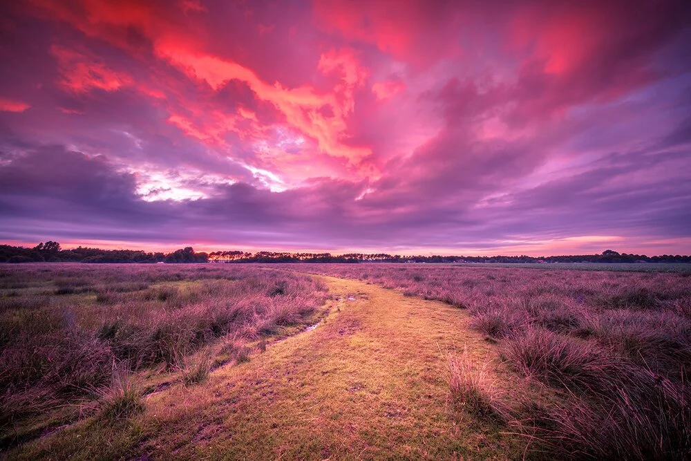 Art Installation Research in Medical Arts and Humanities