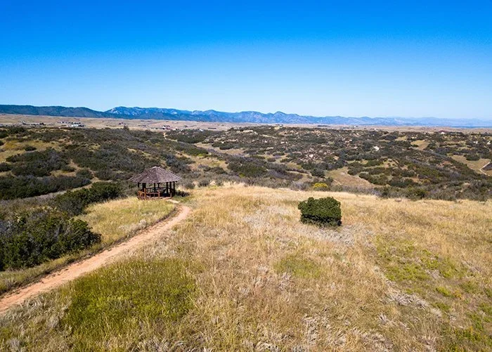 prairie grass and open vista with mountains