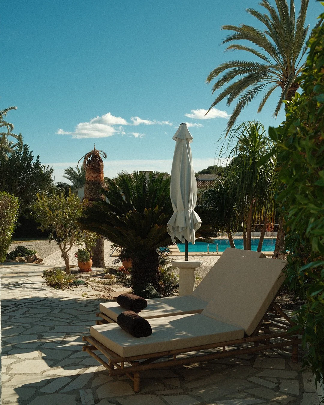 Best seat in the garden 🌴.