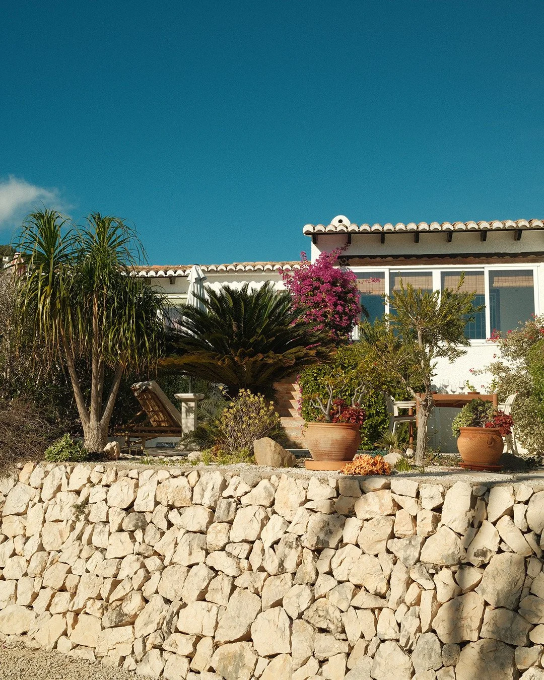 Onze tuin (op het zuiden!) is klaar voor lange zomeravonden, frisse ochtendduiken en alles daartussenin. Palmbomen, citrus en die iconische bougainville.