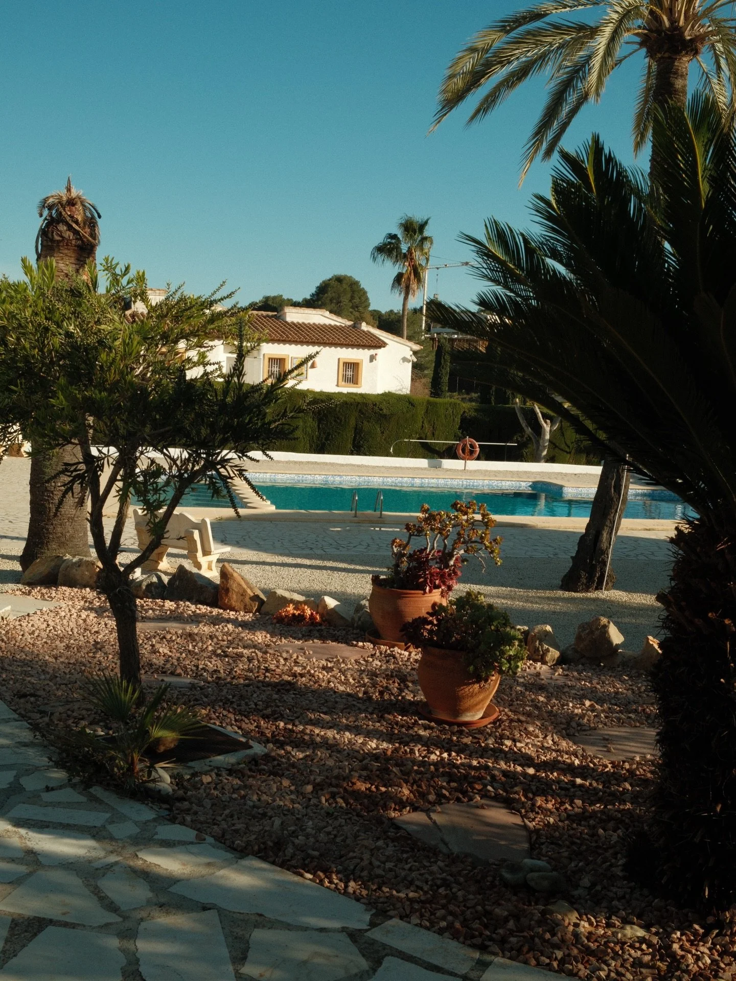 Oh tuintje! We kunnen niet wachten om weer een duik te nemen 🐟.