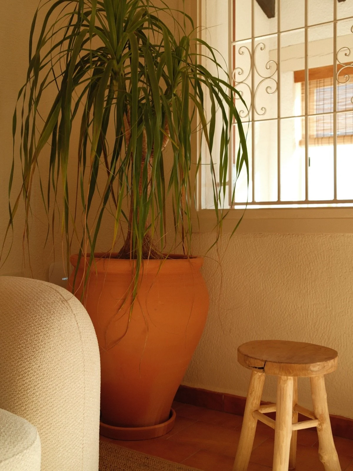 Een staaltje lokaal meesterschap. Deze tinaja (grote kleipot) brengt de warme sfeer van de regio in huis.