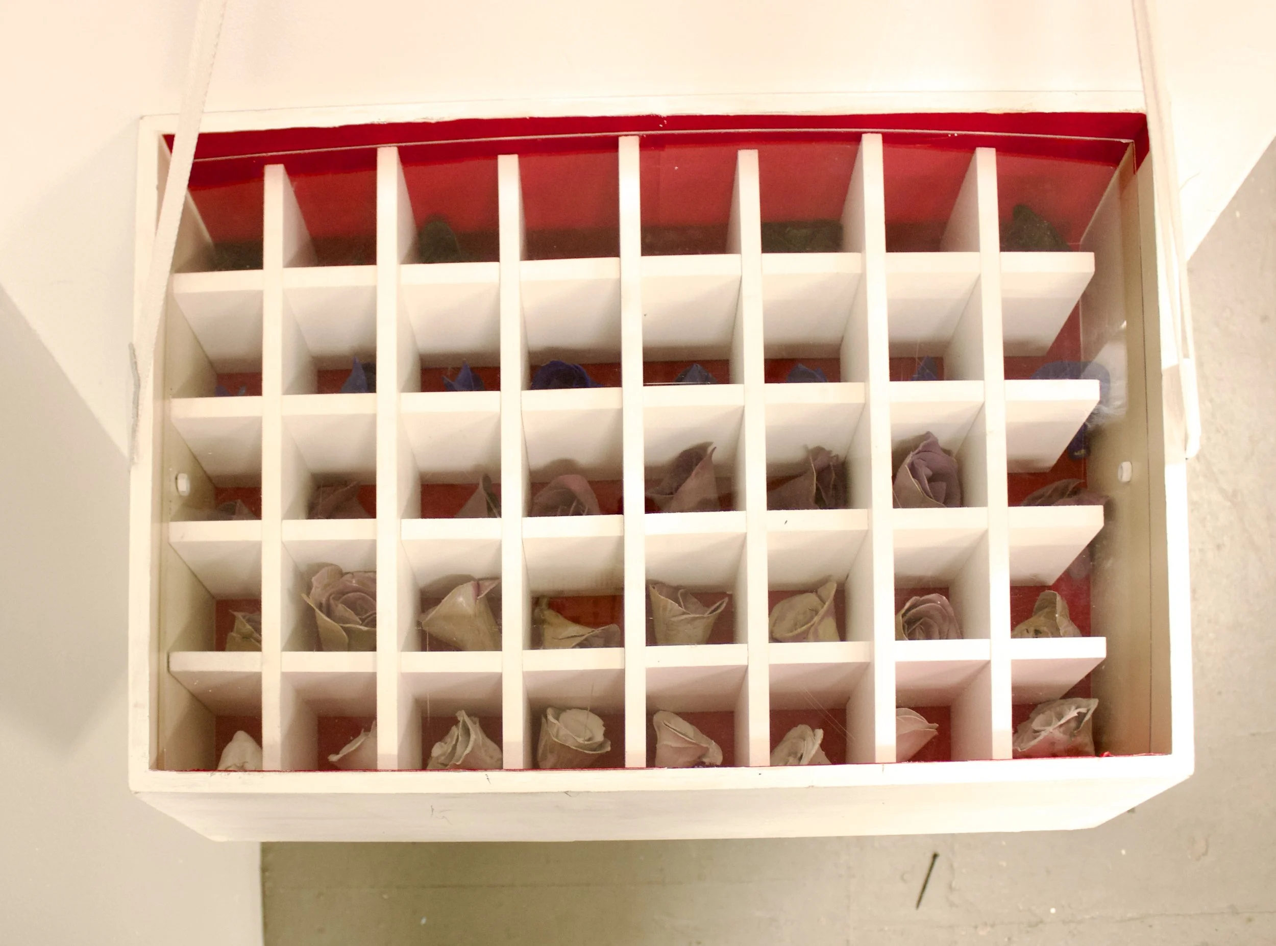 Forever Rose Farm, 2025