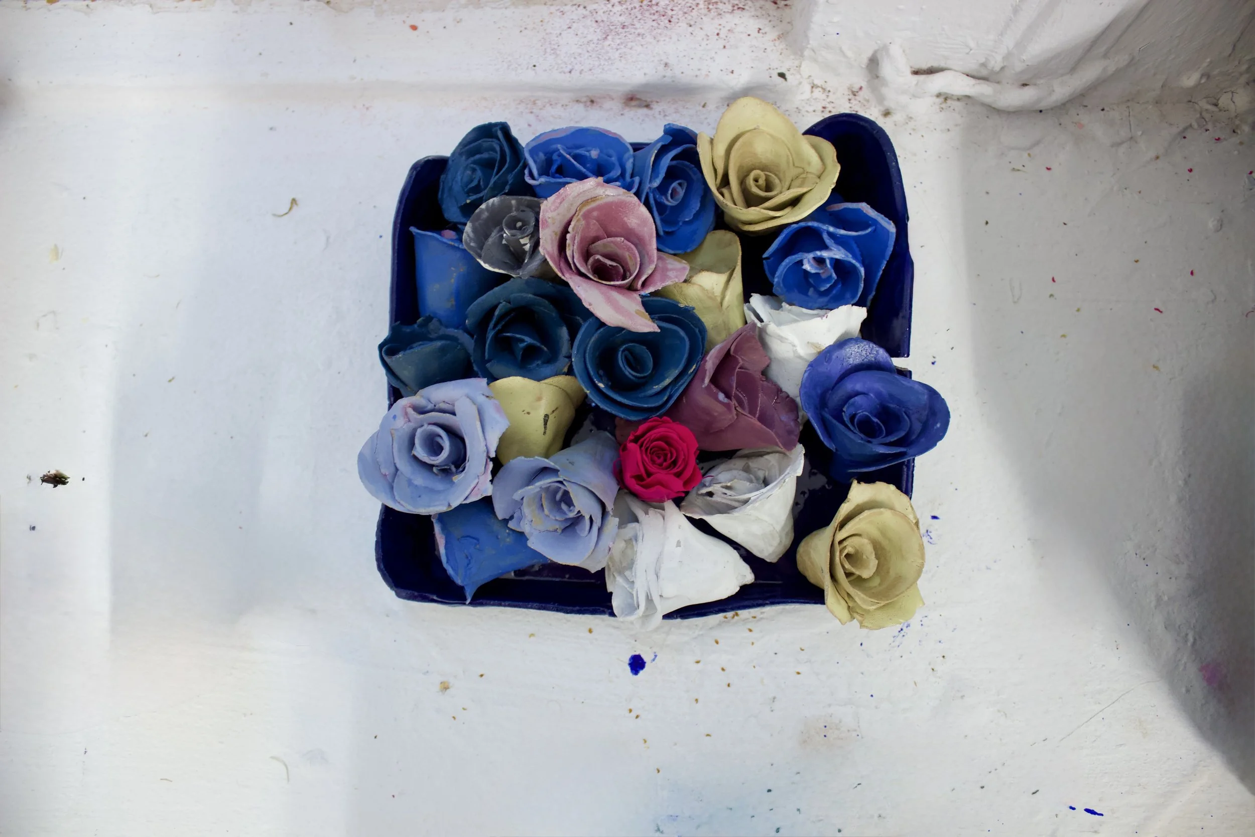 Ceramic Roses (2025)
