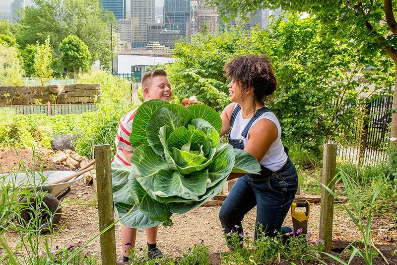 12 Resources to Help you be an Ally to your Community