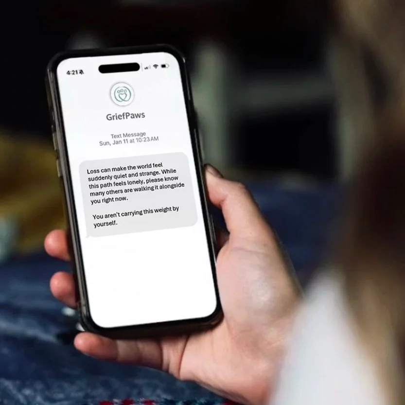 A person holding a smartphone displaying a message from GriefPaws about the emotional impact of loss.