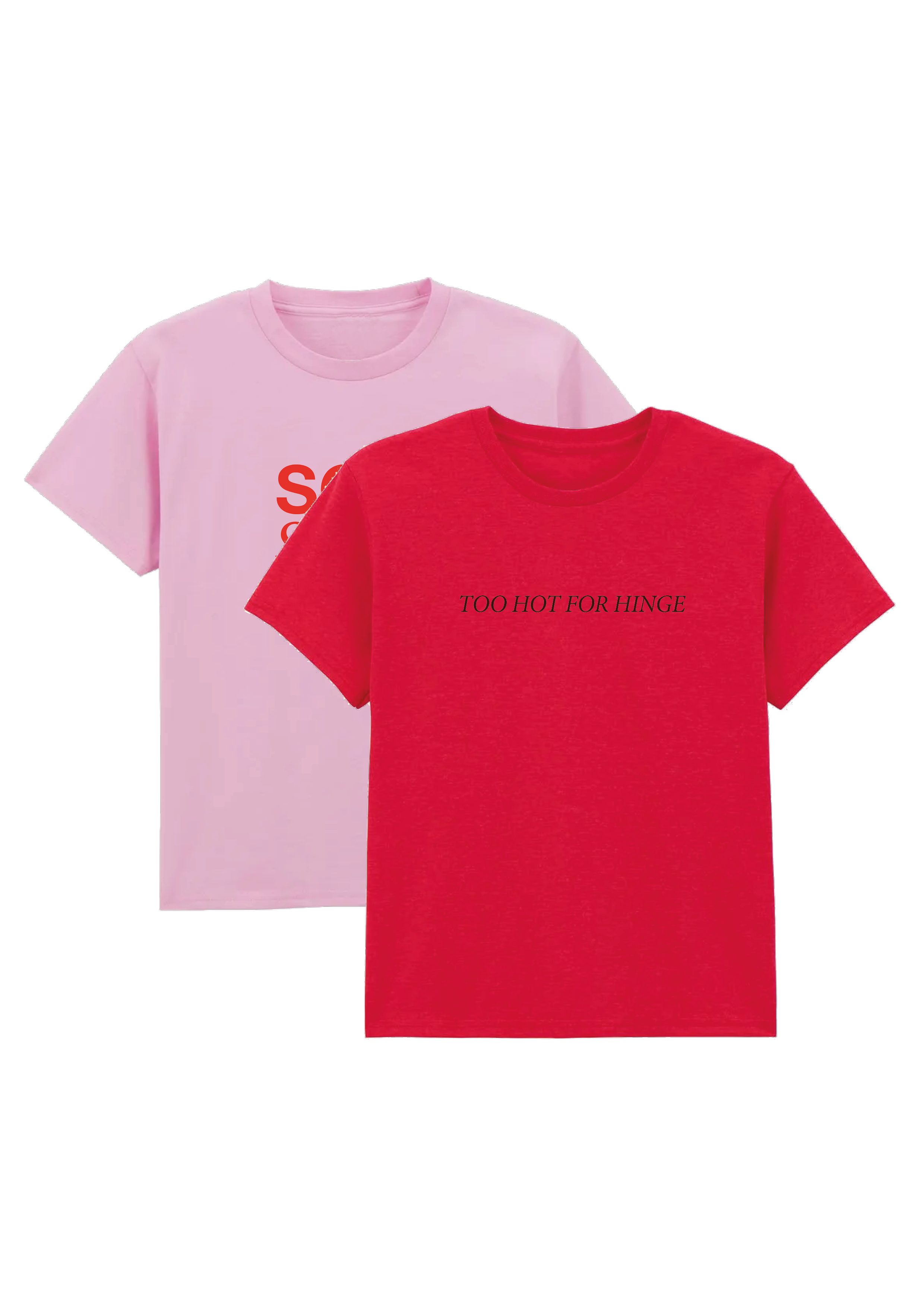 website mock up double scoop.png (Copy)