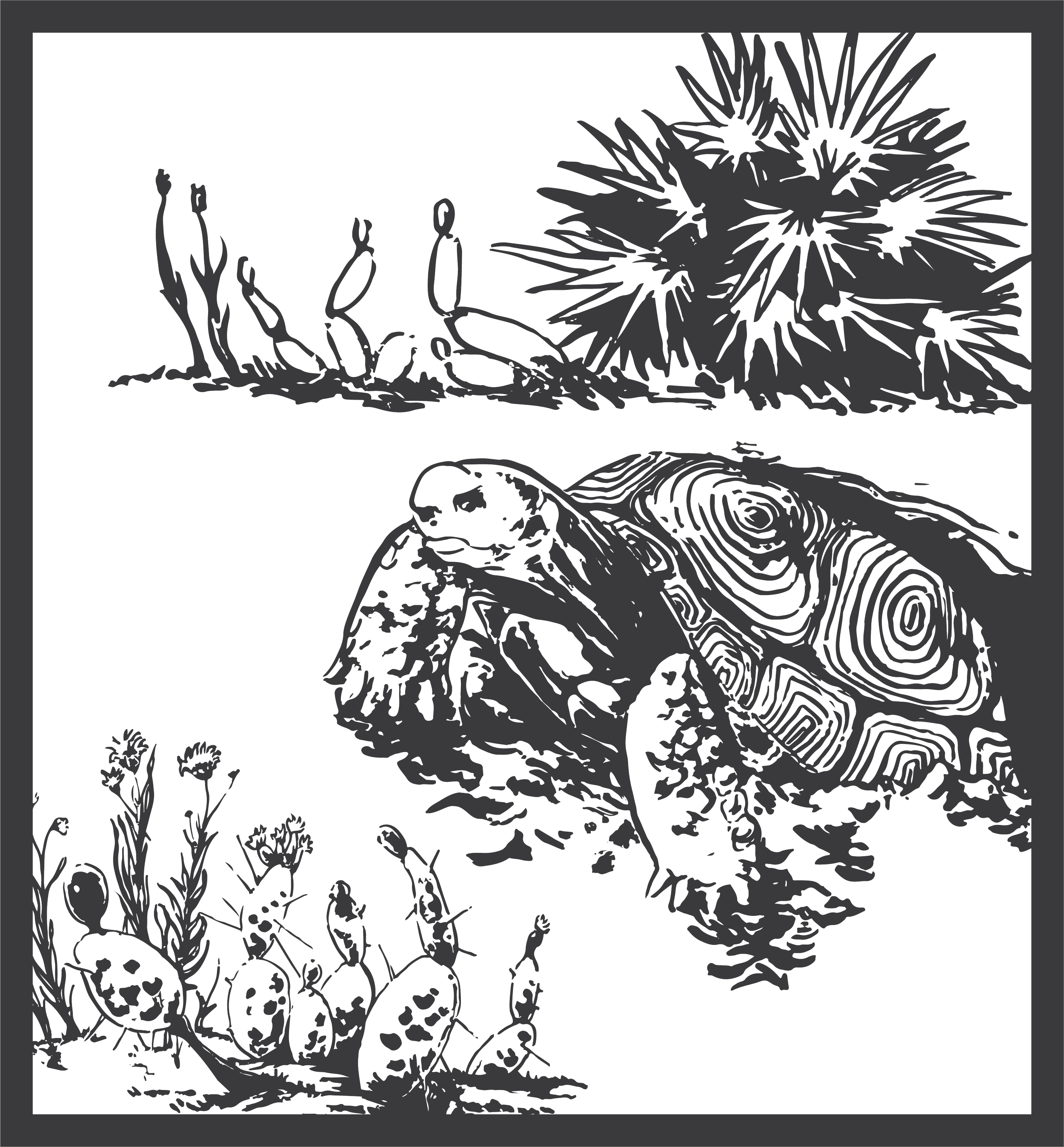 Line drawing of a turtle in water, surrounded by aquatic plants and a cactus in the background.