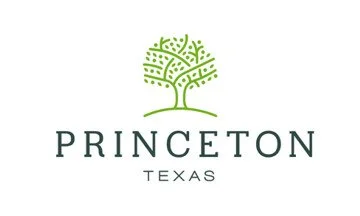 Mobile brake shoe replacement in Princeton, Texas