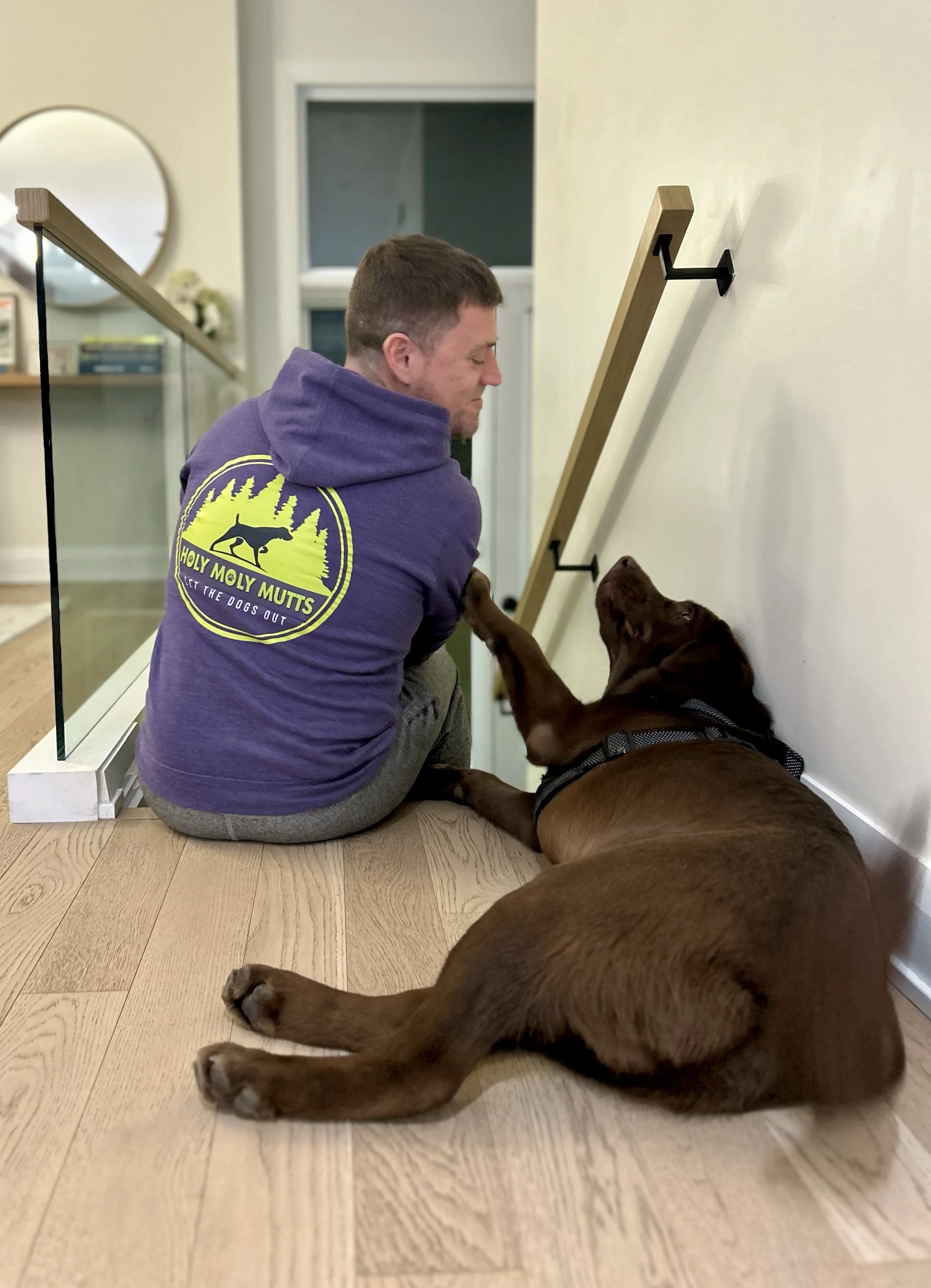 A man and a brown dog playing together on a wooden floor indoors, with the man sitting with his back to the camera, facing the dog, which is lying down and reaching up with its front paws.