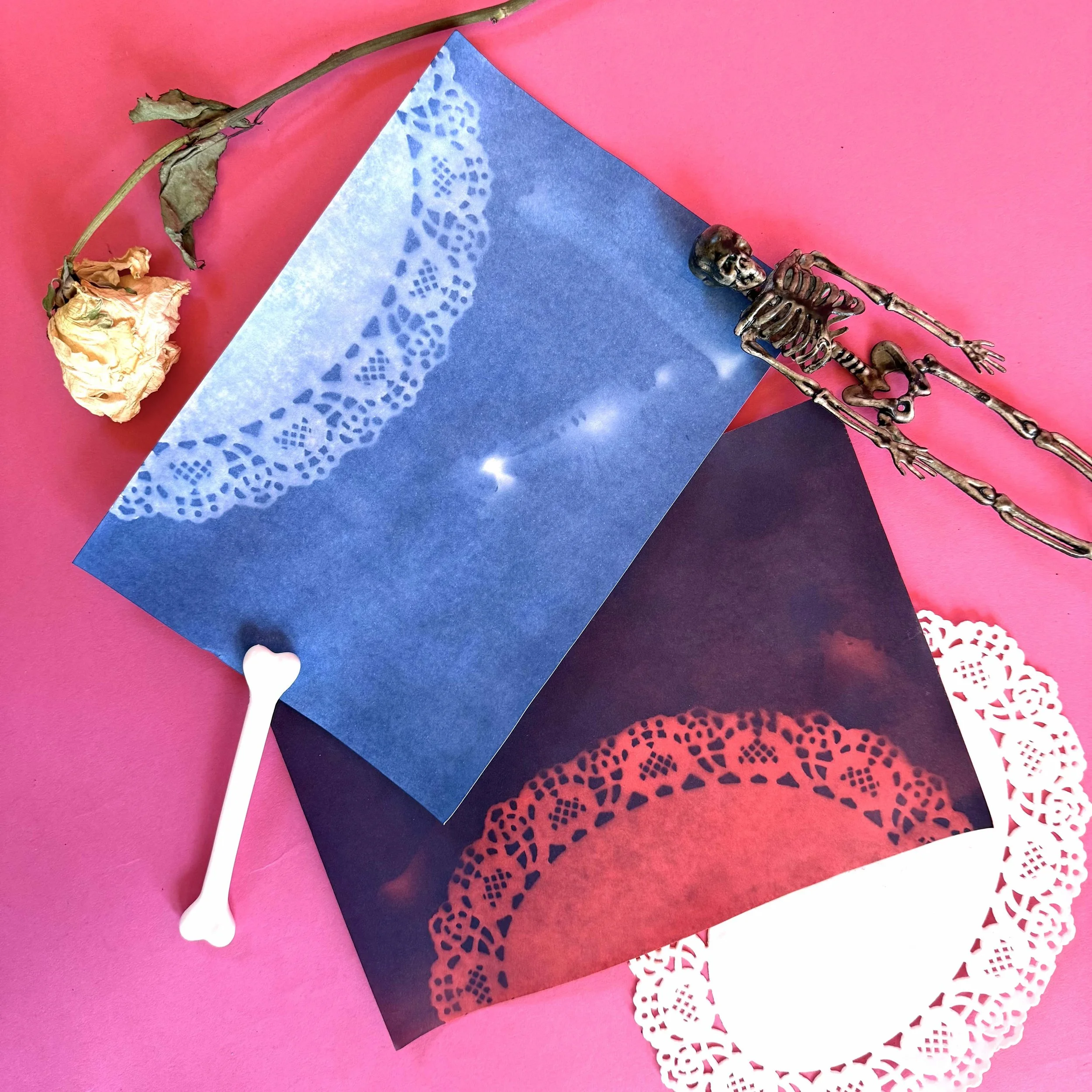 Cyanotype Basics Workshop