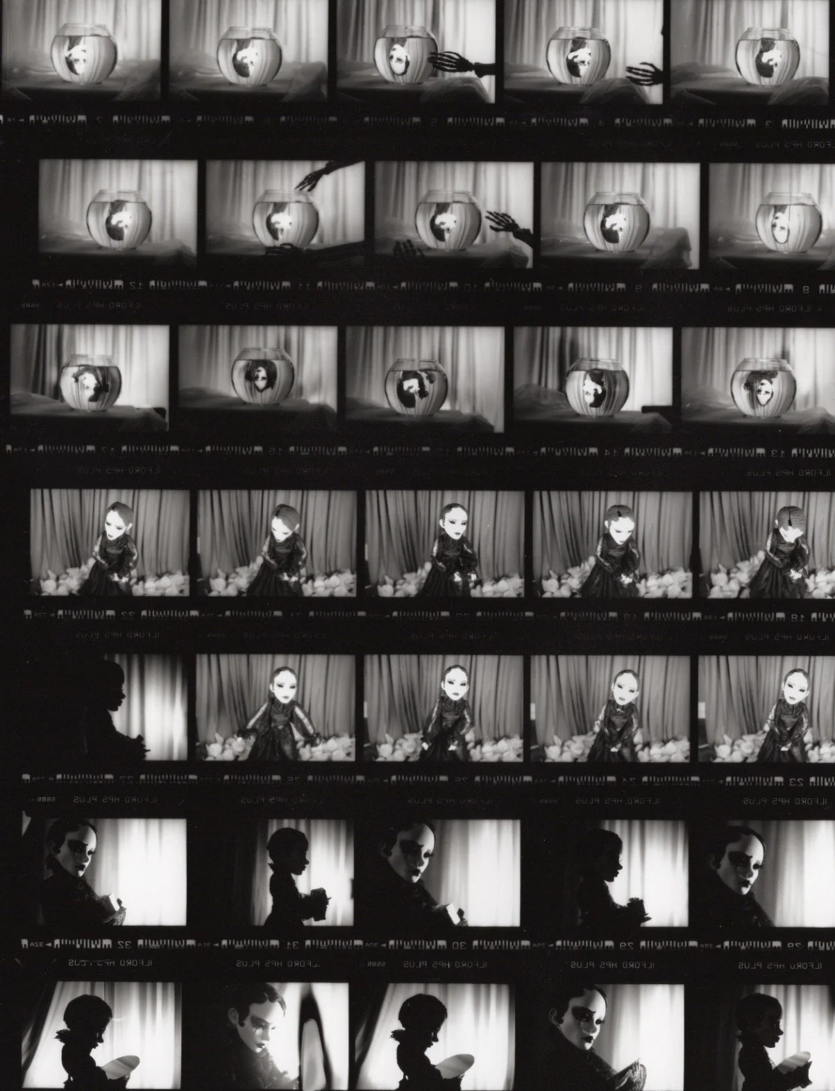 B&W Film Development by Lora O’Shaughnessy