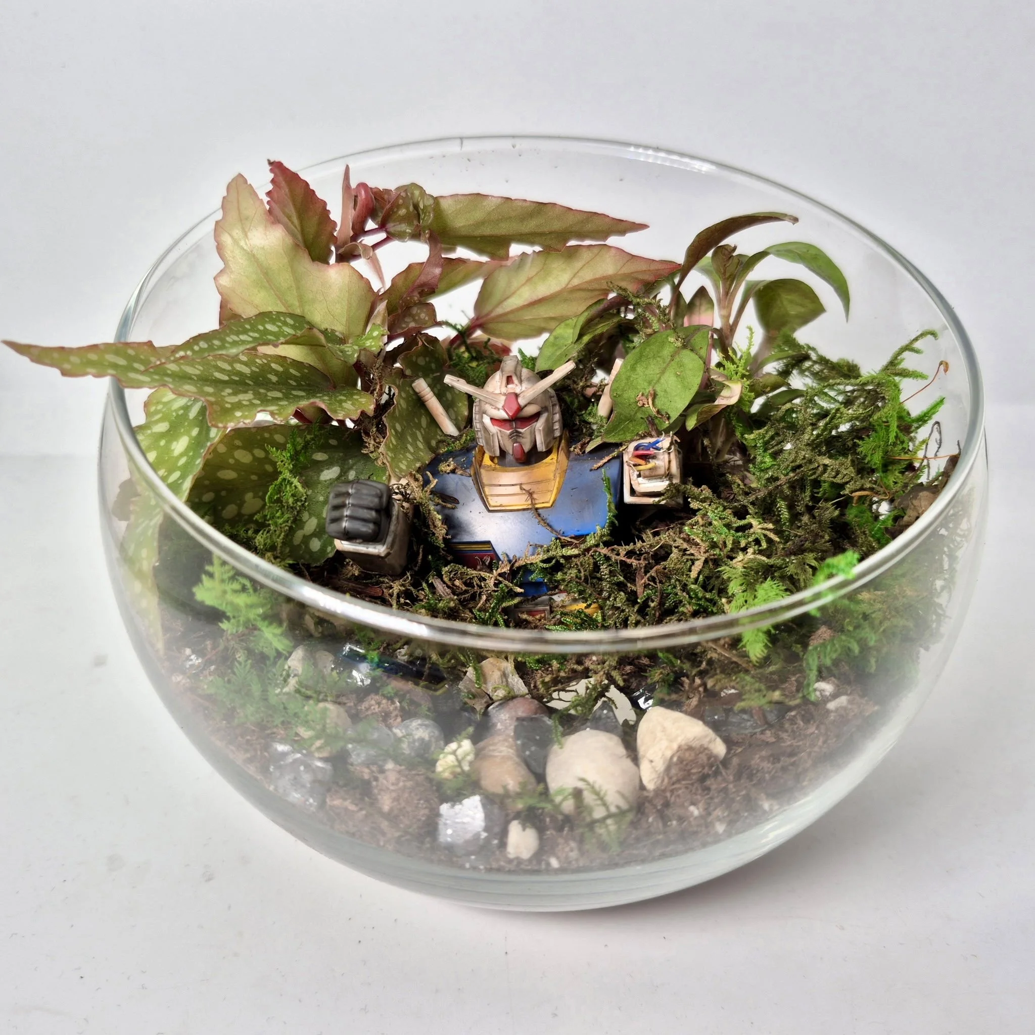 Nerdy Terrarium by David Bayon