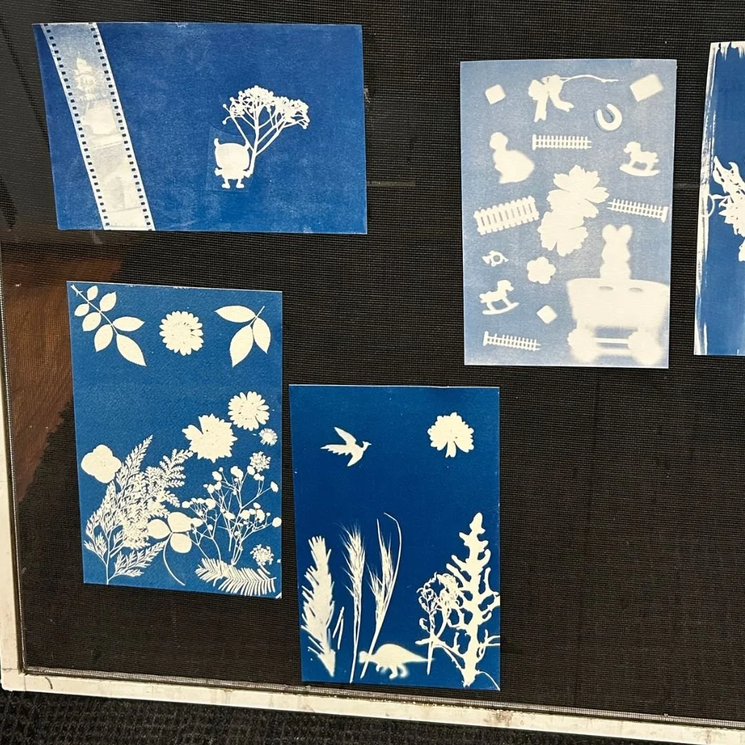 Cyanotypes.jpg