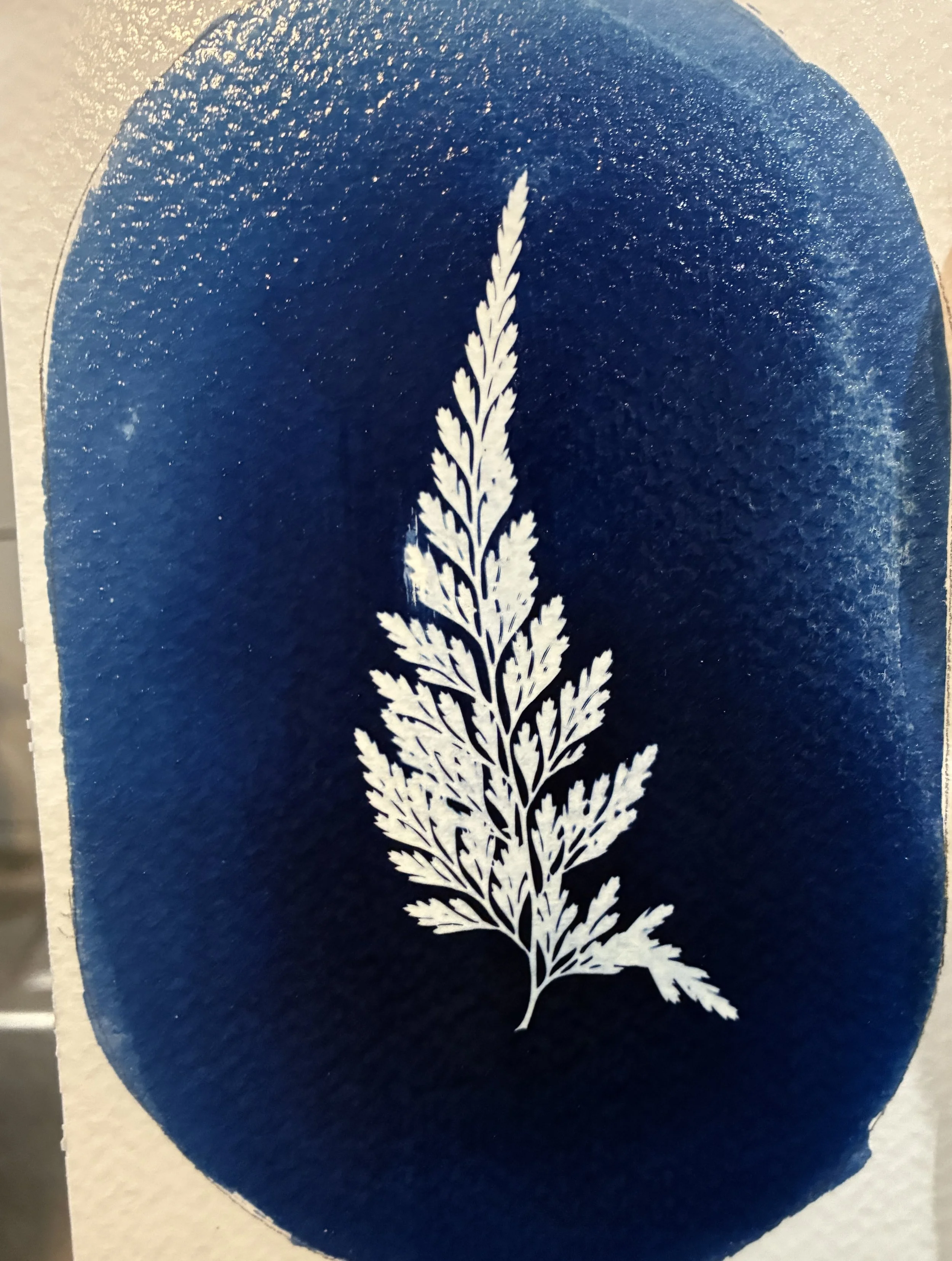 5/31 Cyanotype for Beginners by Leah Mitchener
