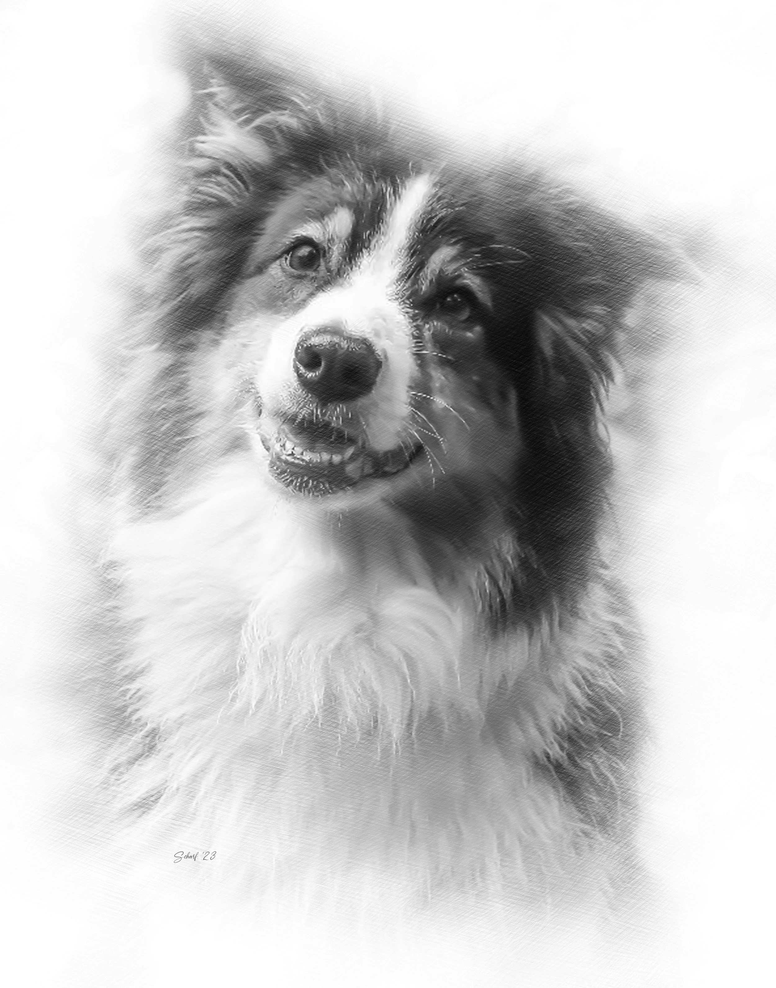 kara kingsbury 1.jpg