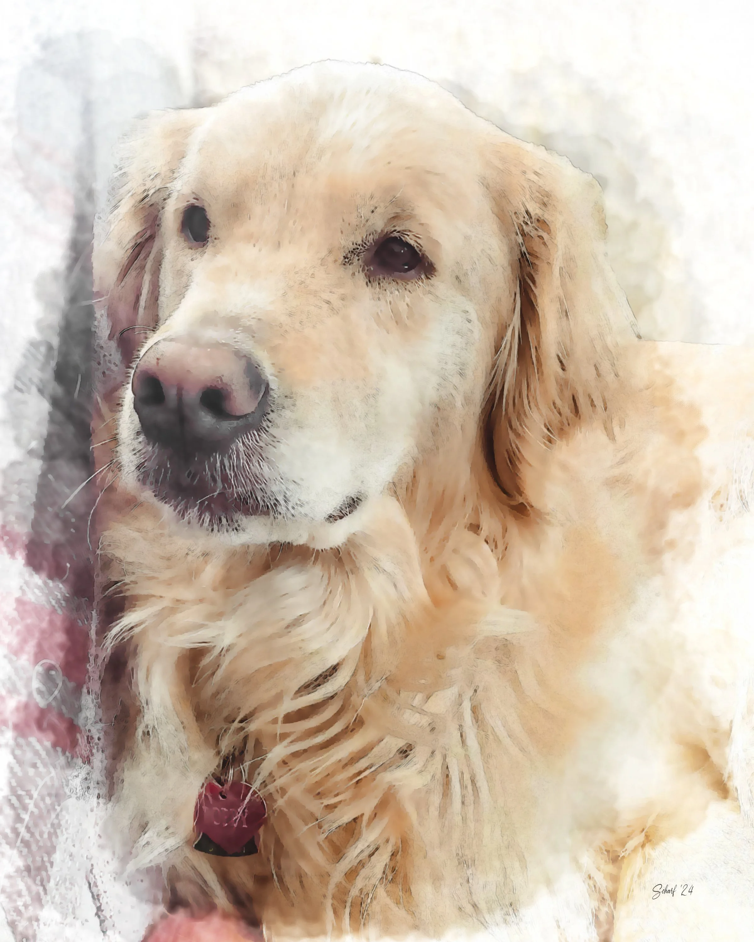 RAYMOND COYLE 2 copy.jpg