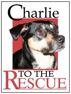 Charlie to the Rescue!