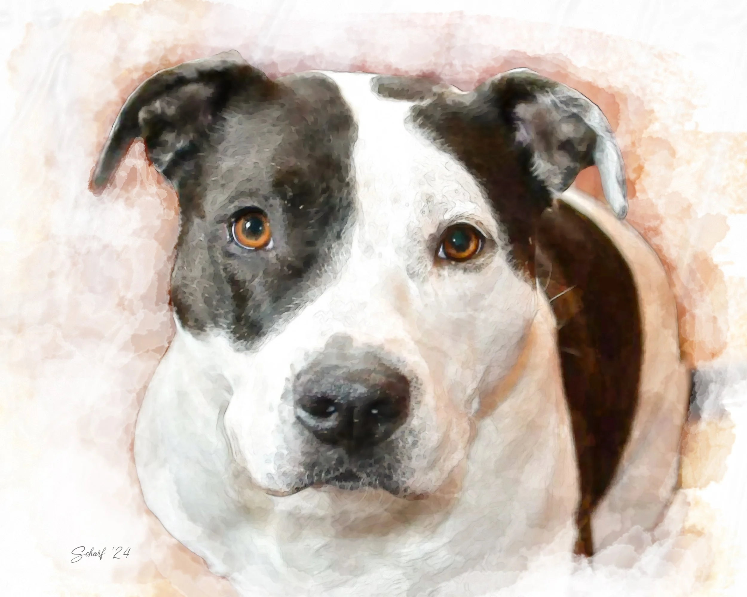 Melissa Trotman 1 copy.jpg