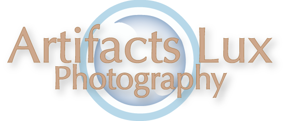 Artifacts Lux Photography