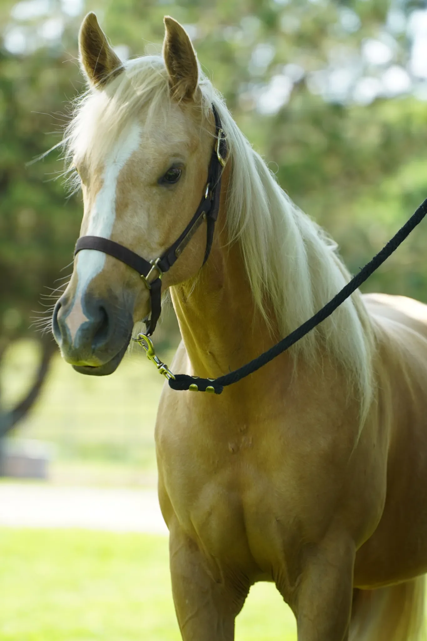 HOTTER THAN FLIT.webp