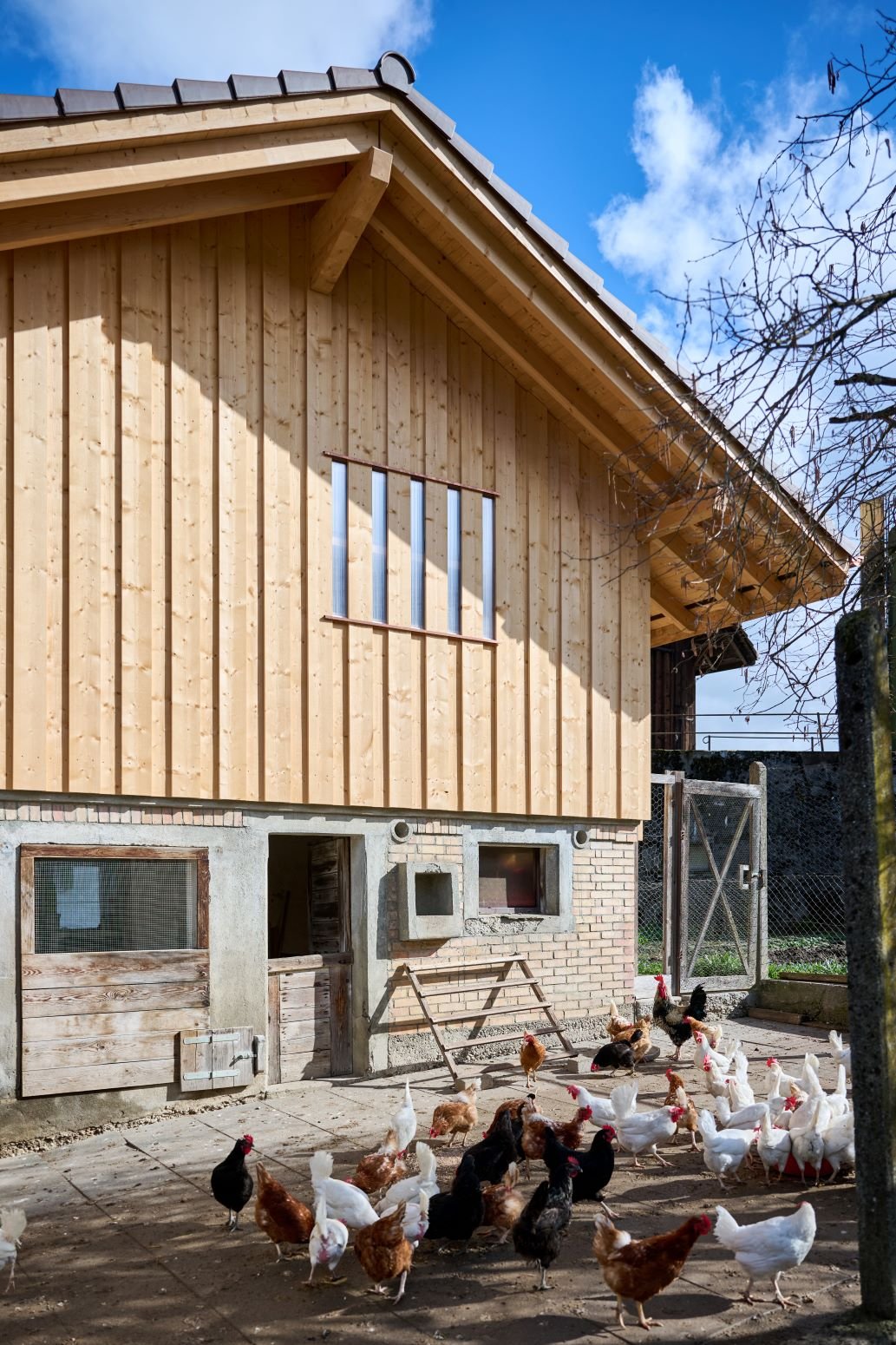 Neu umgebauter Schopf mit Hühnern im Vordergrund