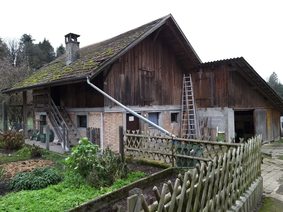 Alter Schopf vor dem Umbau mit dunklem, verwittertem Holz