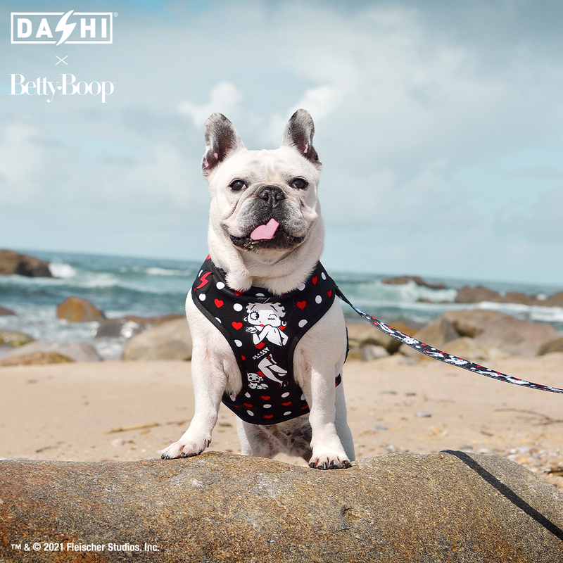 Betty Boop and Dashi Bring on the Boop!