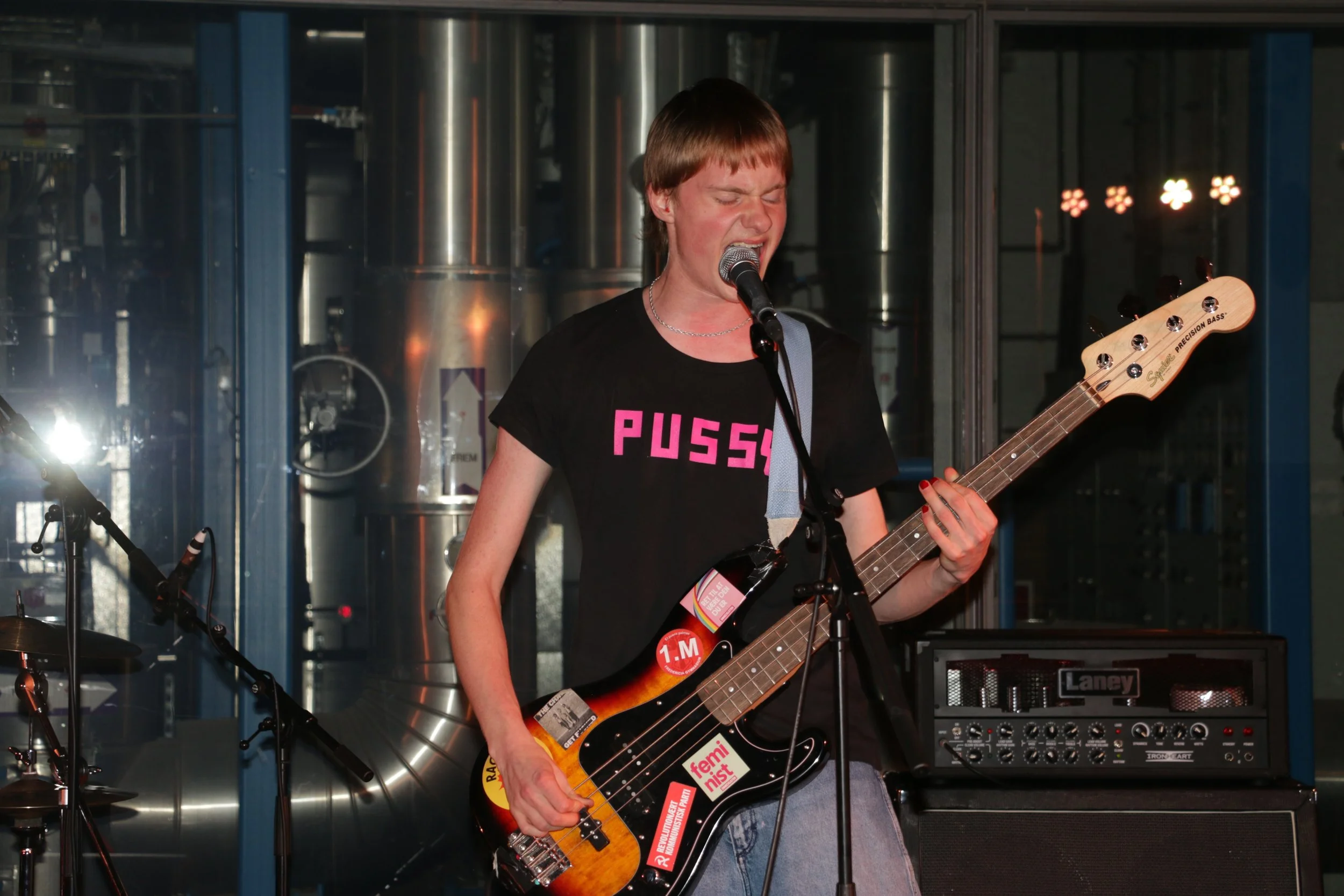 Three Shitting Birds live at Ewii House - Koldning