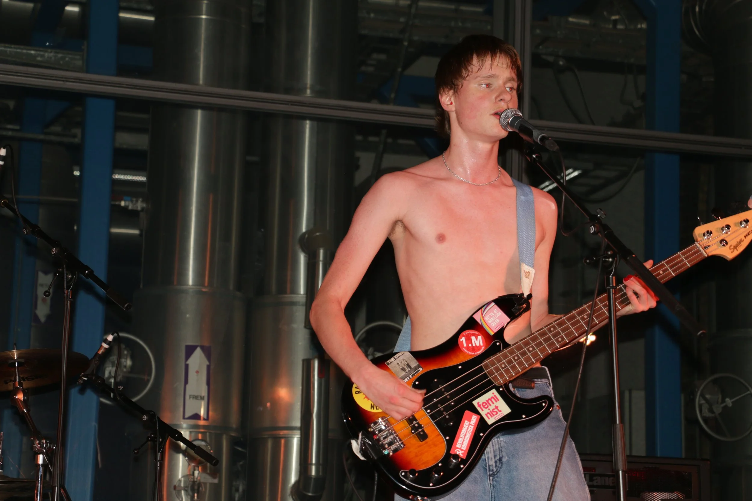 Three Shitting Birds live at Ewii House - Koldning