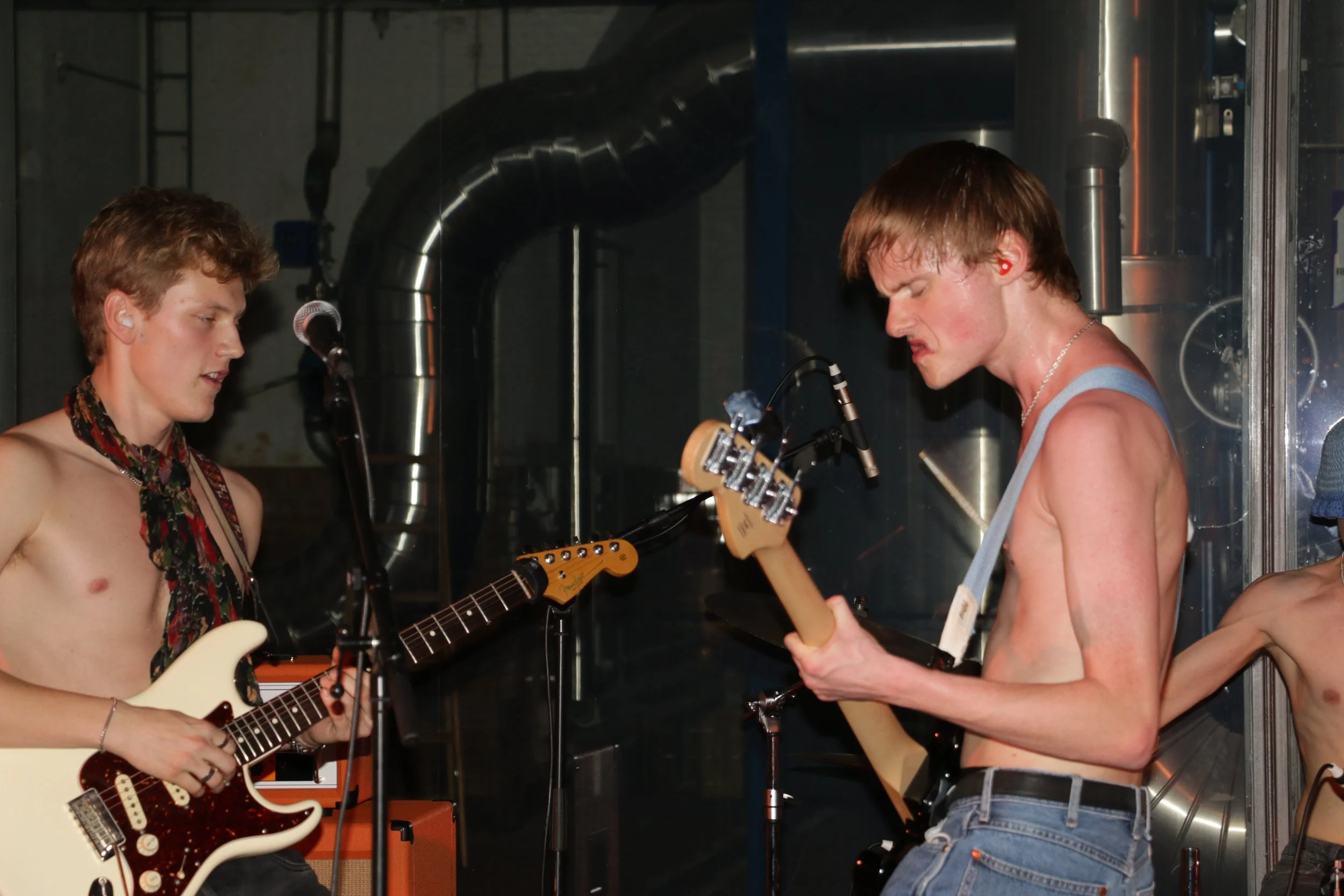 Three Shitting Birds live at Ewii House - Koldning