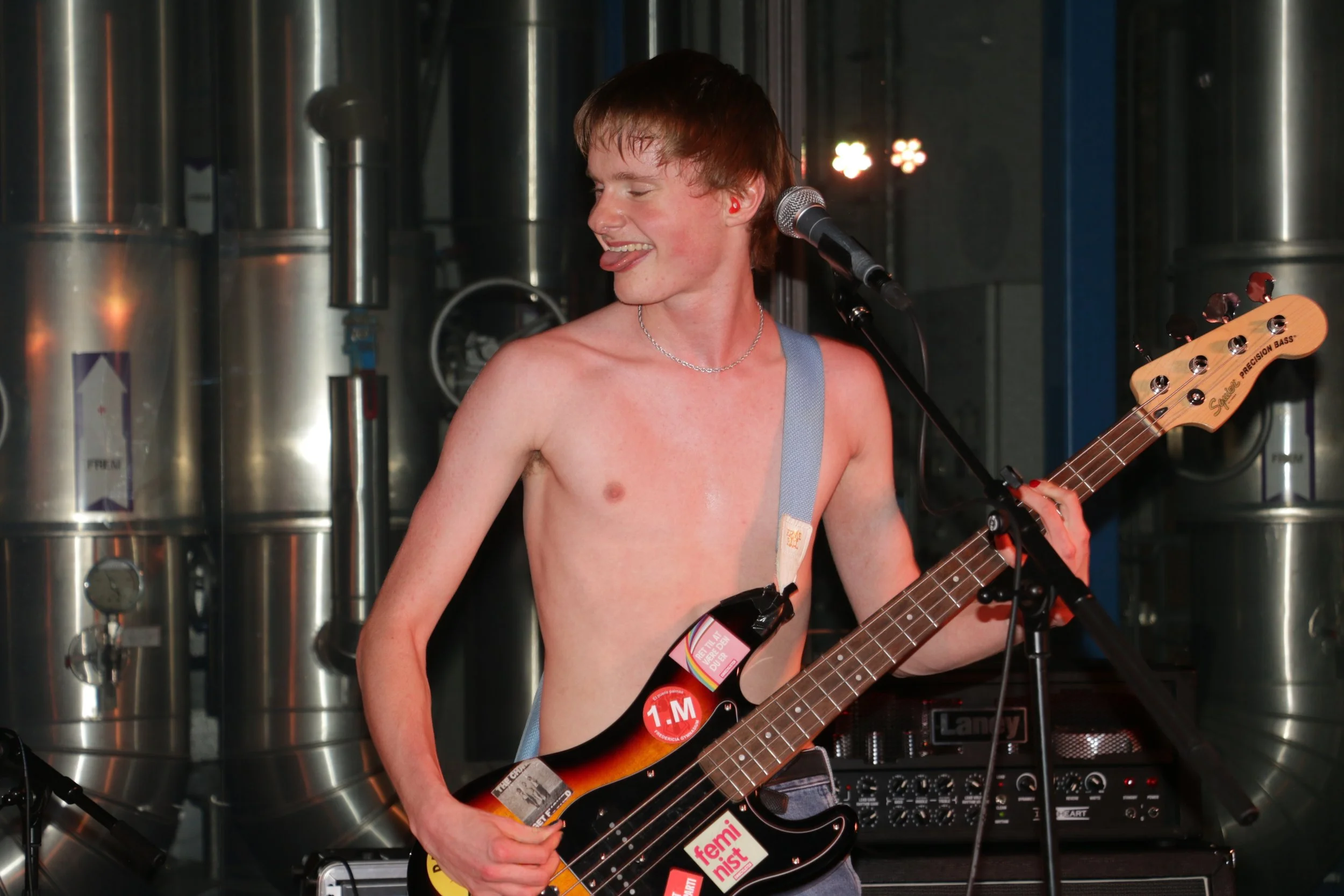 Three Shitting Birds live at Ewii House - Koldning