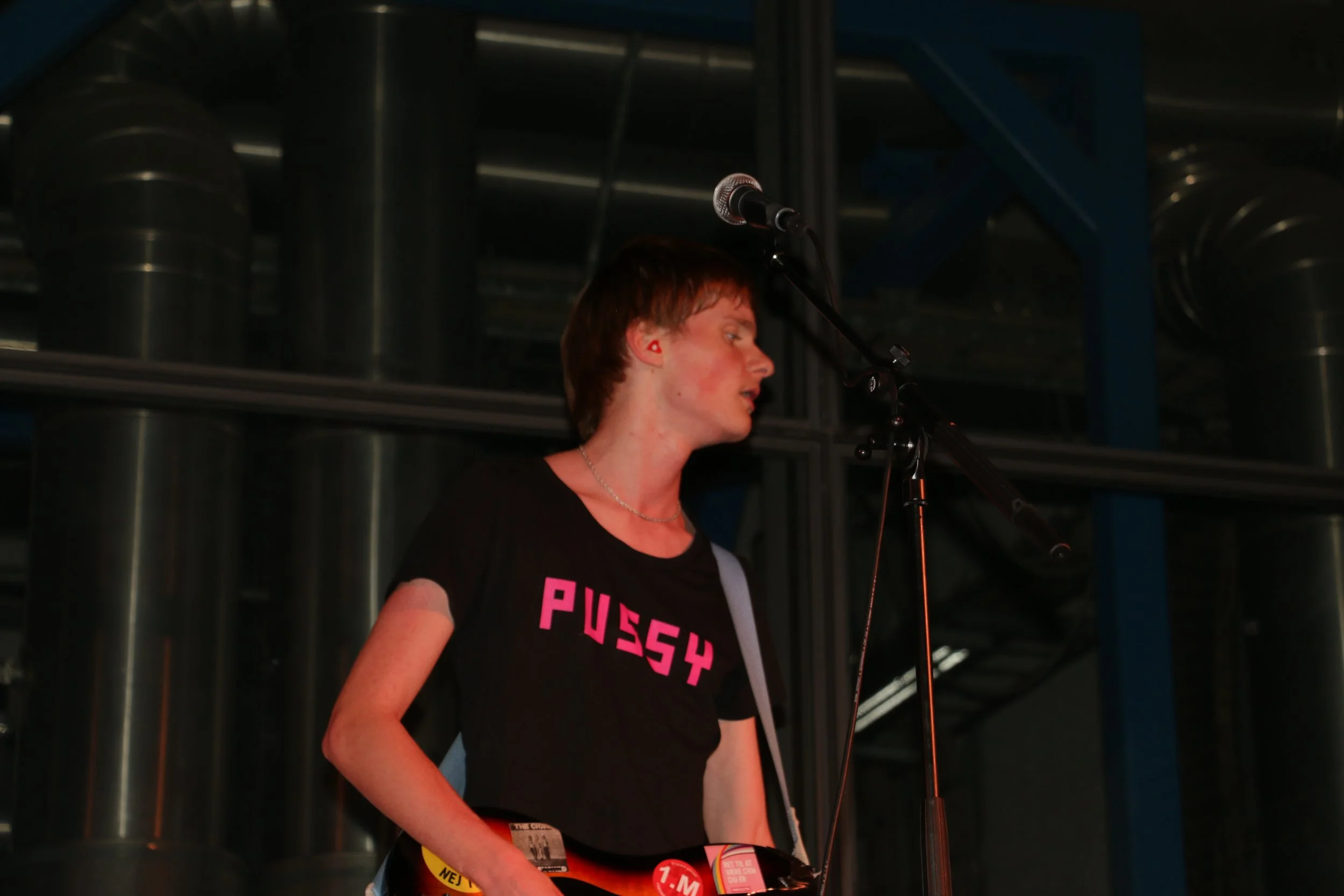 Three Shitting Birds live at Ewii House - Koldning