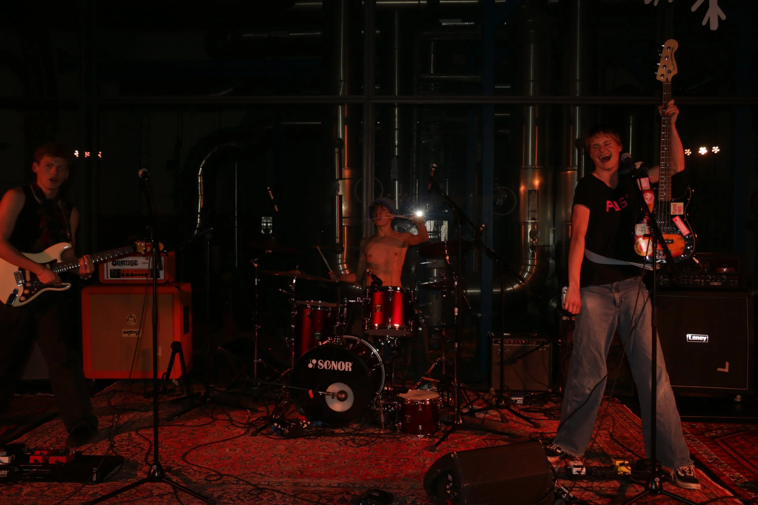 Three Shitting Birds live at Ewii House - Koldning