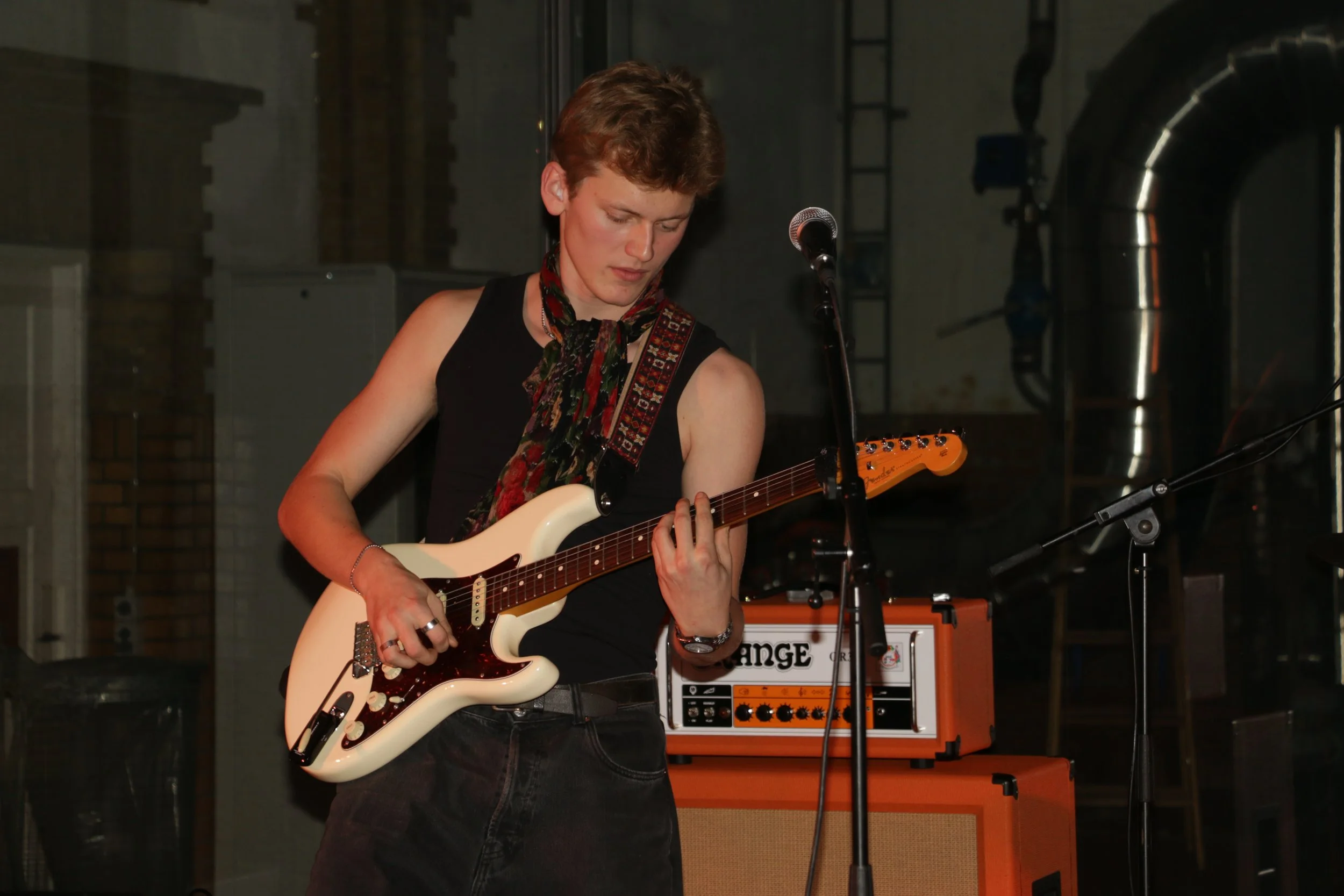 Three Shitting Birds live at Ewii House - Koldning