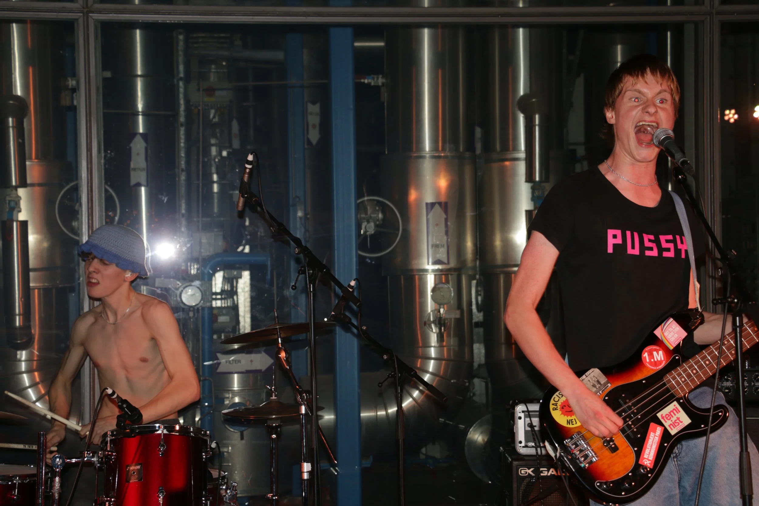 Three Shitting Birds live at Ewii House - Koldning