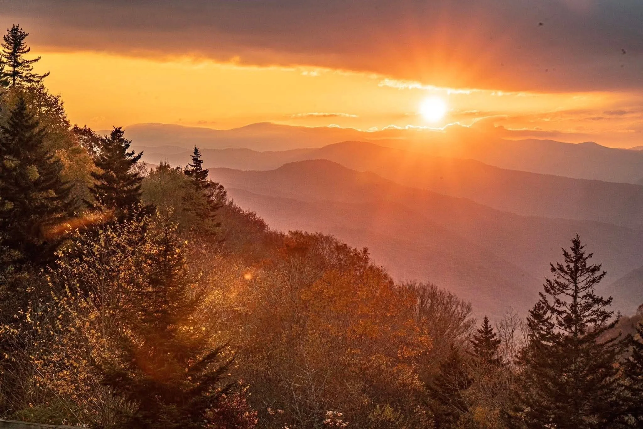 Veteran’s Ride to Tellico- Open to All                                                                        