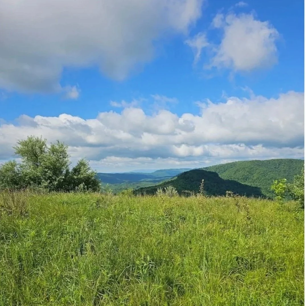 ROA Ridge Run