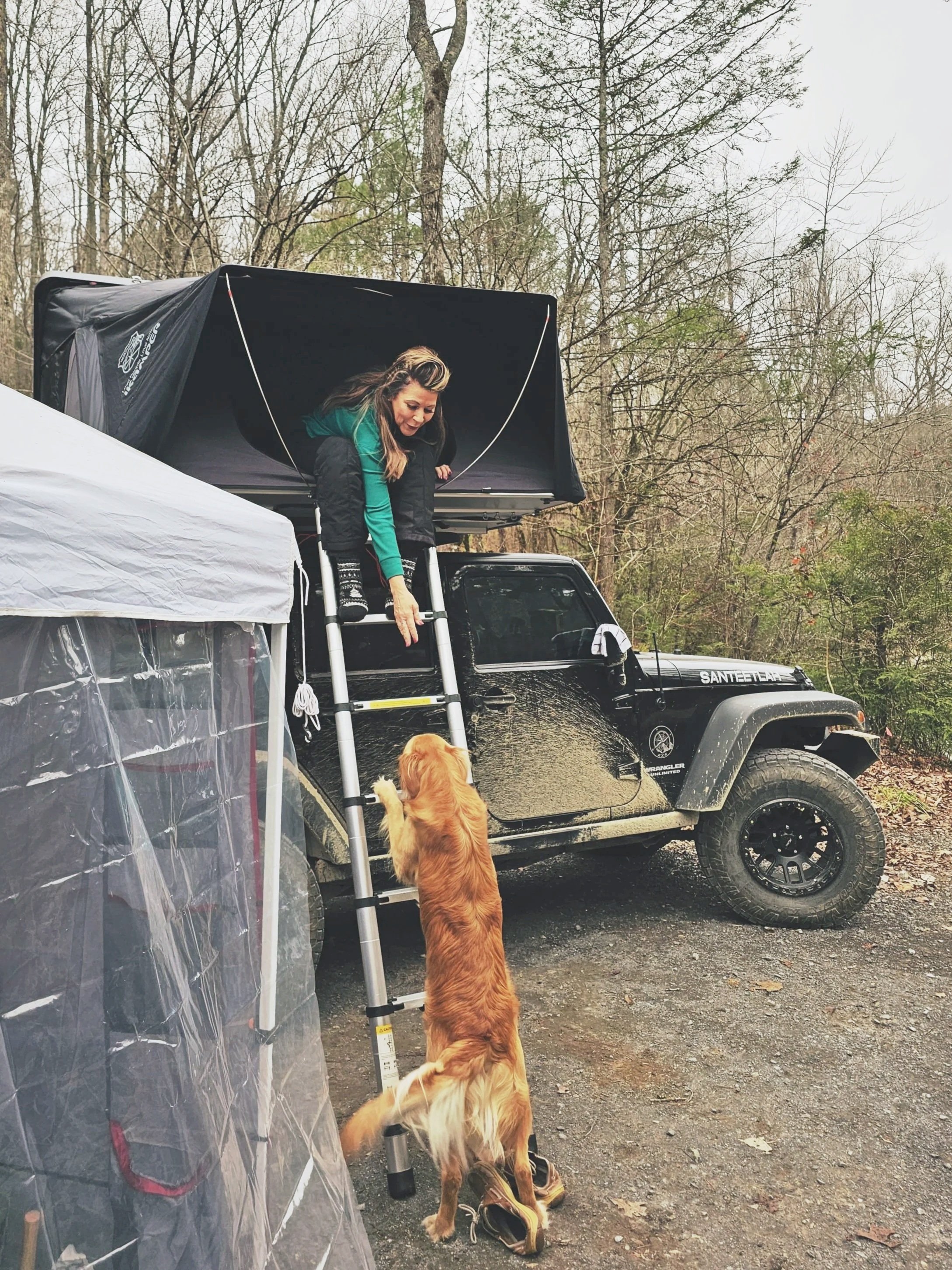 Woman on a rooftop tent ladder reaching down to a dog standing on its hind legs, with muddy Jeep in a wooded area.