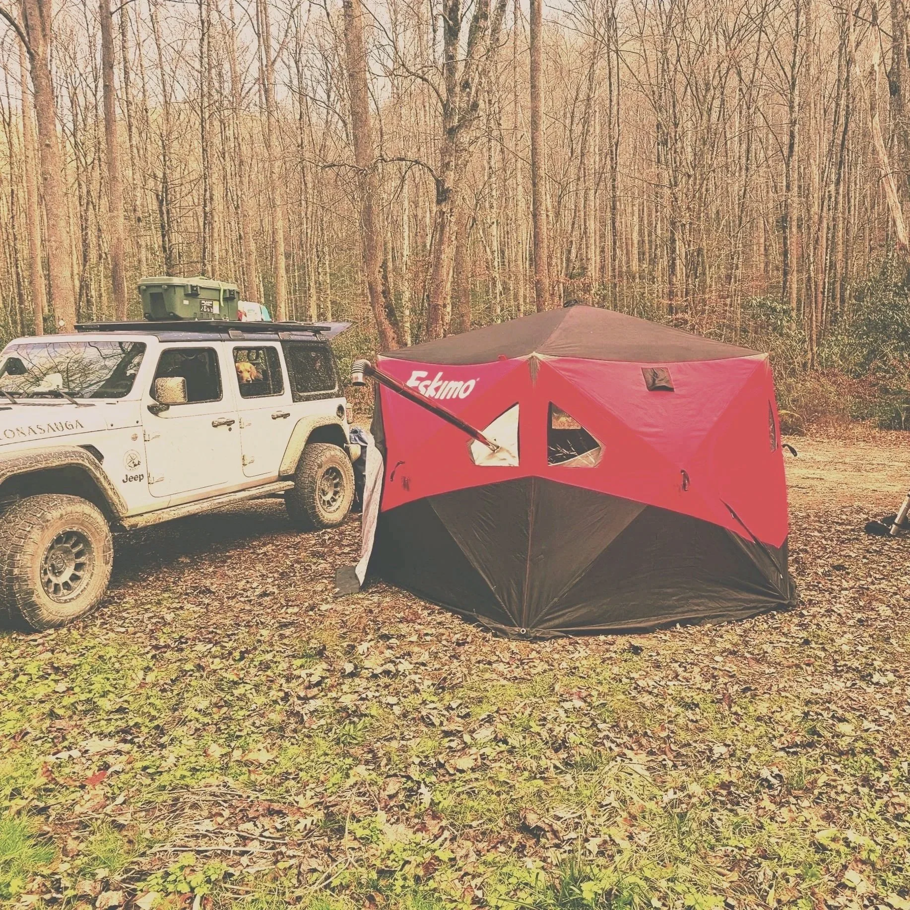 A white Jeep parked in a wooded area next to a red camping tent with a black roof, surrounded by trees and fallen leaves.