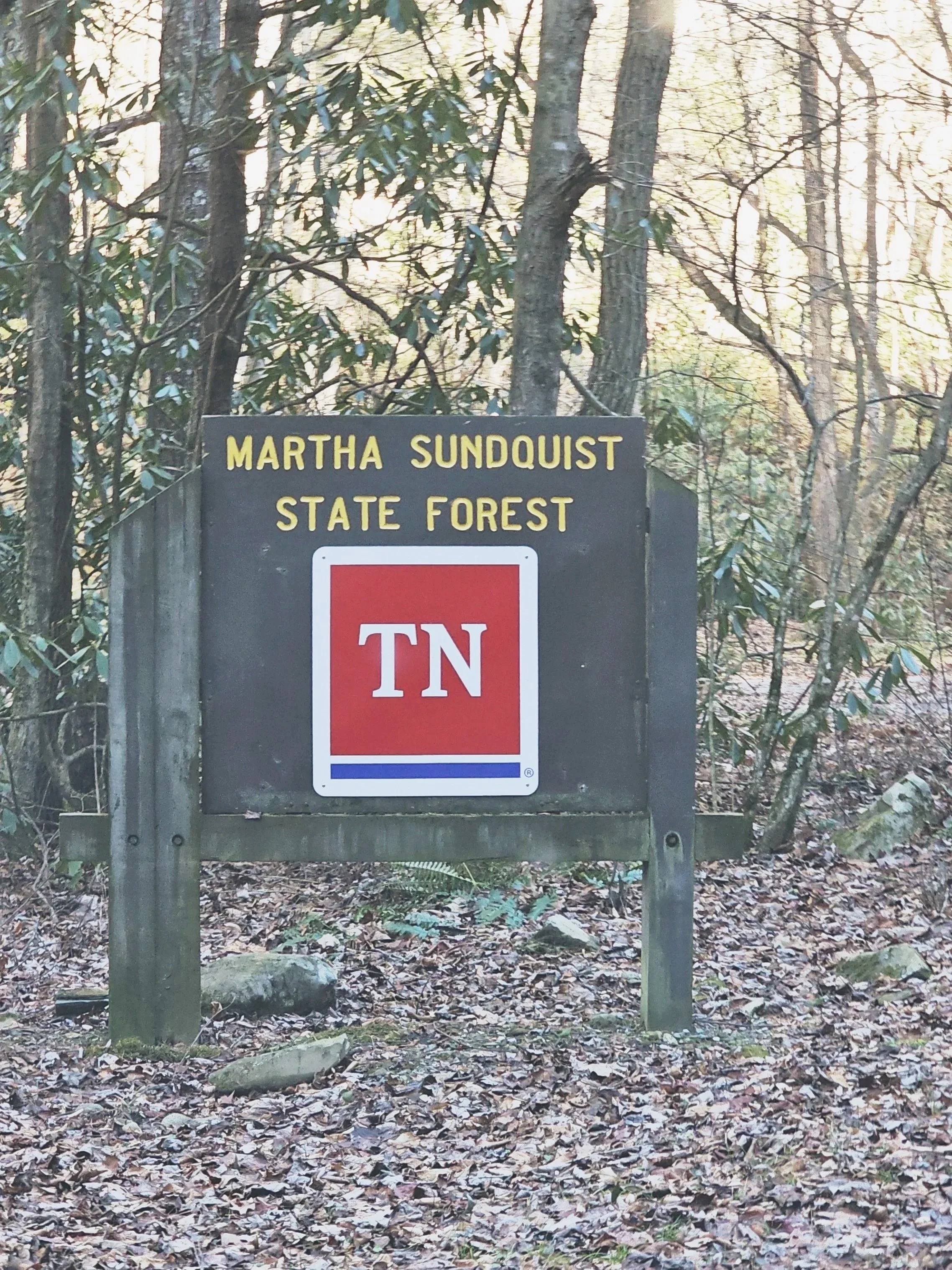 Sign at Martha Sundquist State Forest with 'TN' logo, surrounded by trees and fallen leaves.