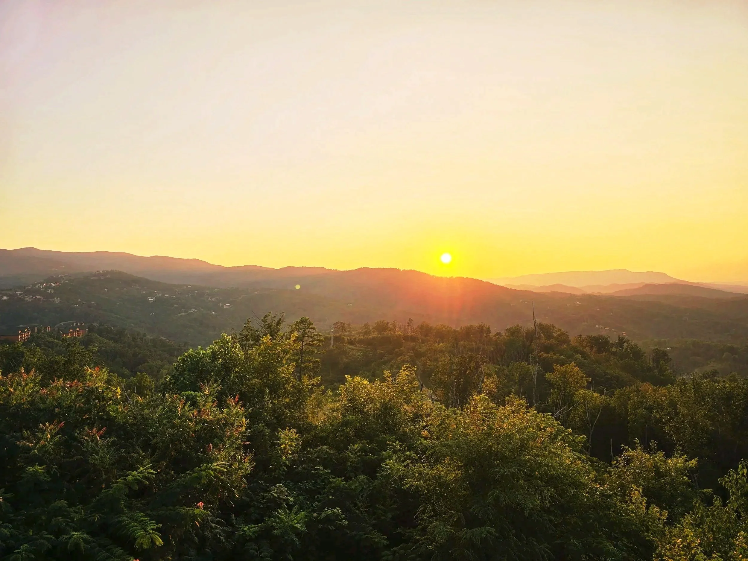 Sunset over a hilly landscape with dense green trees in the foreground.