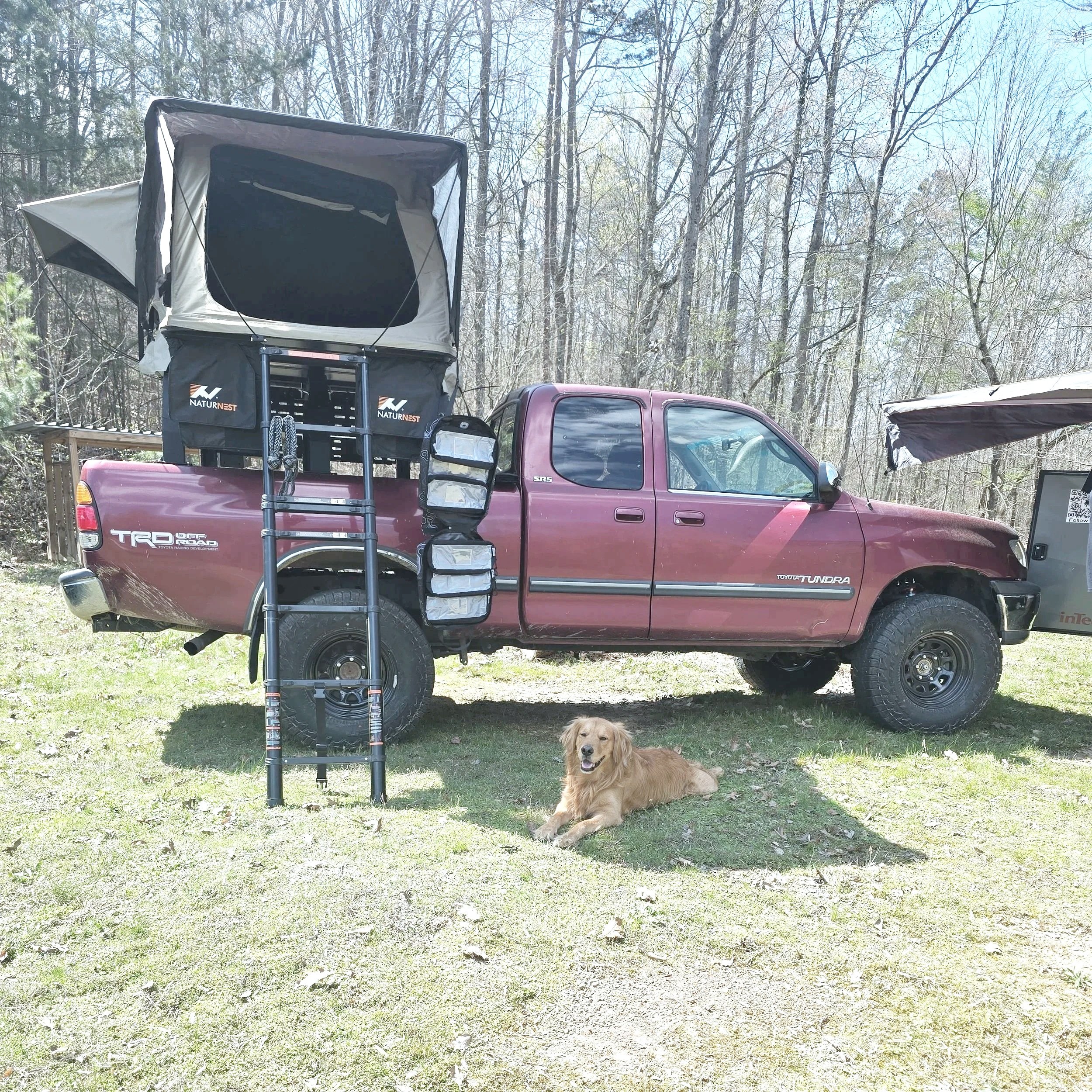 Red Toyota Tacoma Tundra truck with a rooftop tent, ladder, and storage containers parked on grassy area with dog lying in front, and trees in the background.