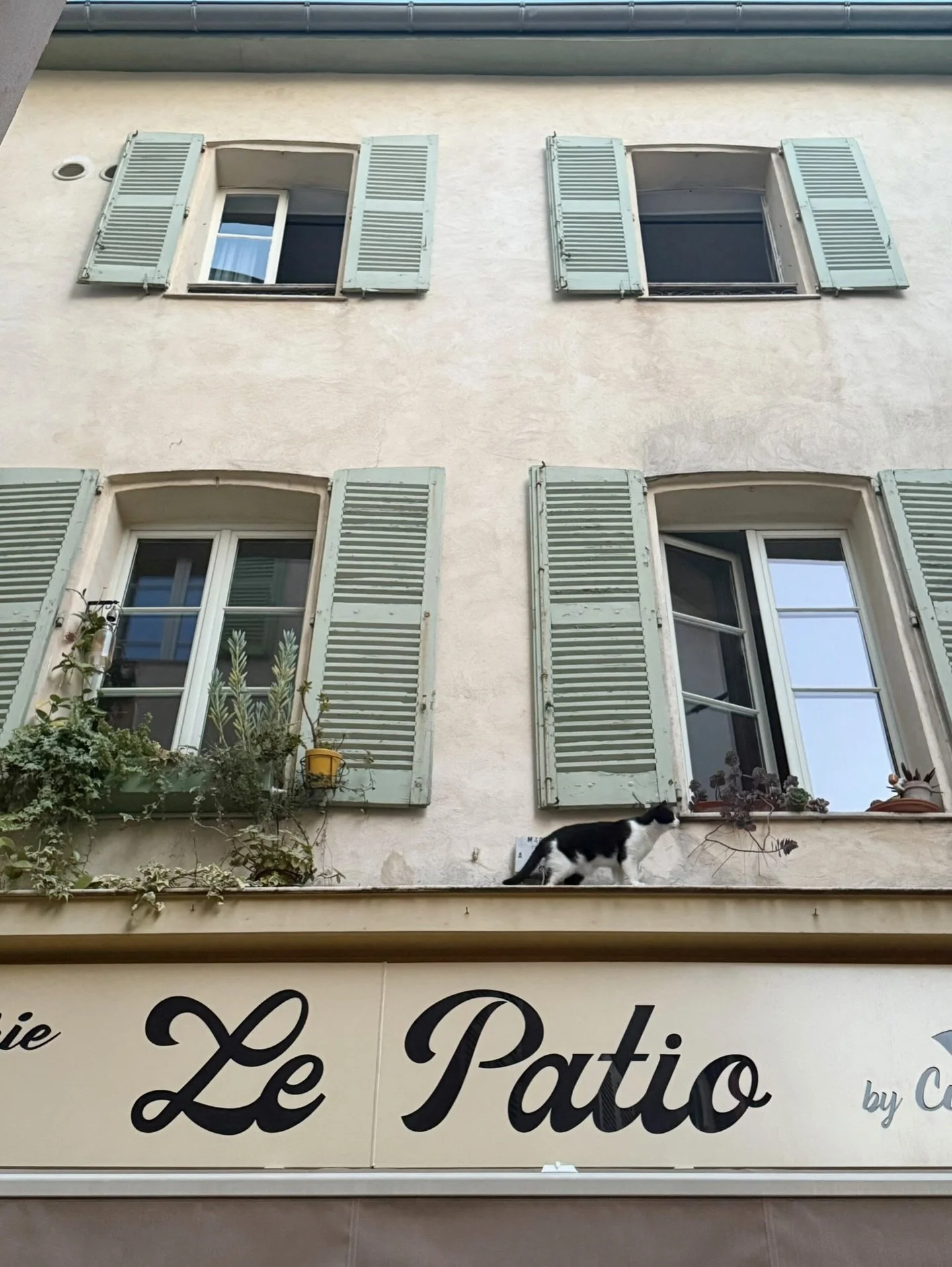 Nothing says patio season like open windows and a charming font.