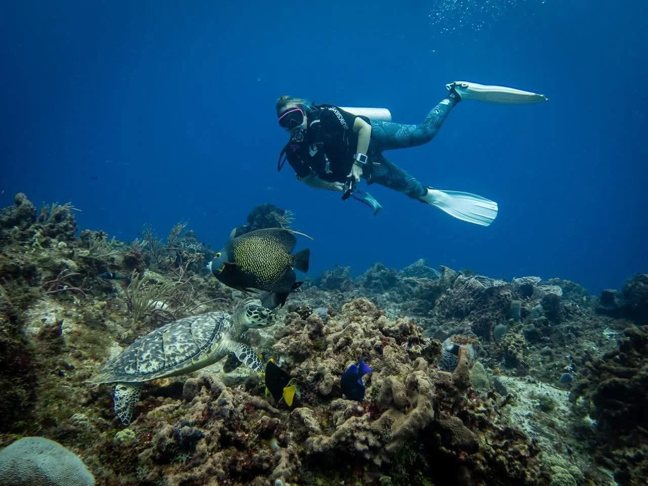 Chelsea Stobaugh scuba diving over a tropical coral reef in Cozumel with a sea turtle.