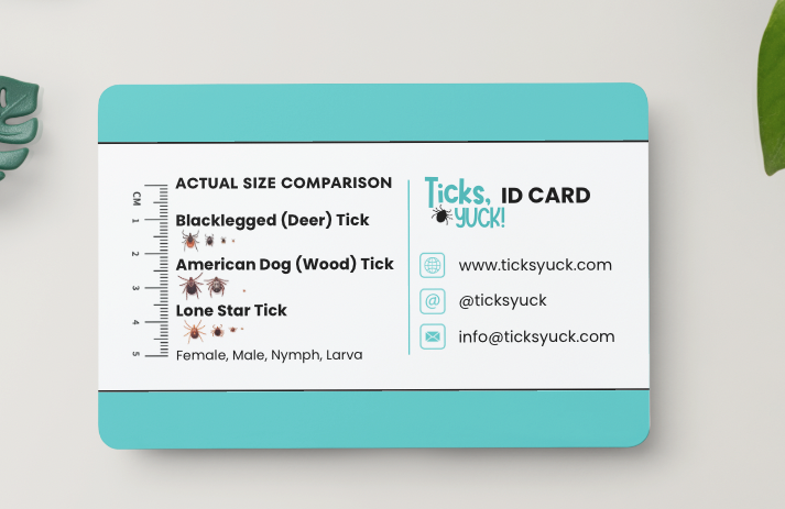 Screen Shot 2026-03-19 at 3.43.28 PM.png