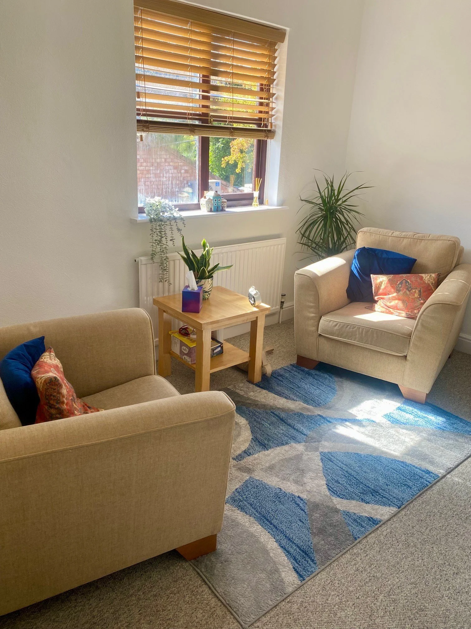 Relational psychotherapy for adults seeking online therapy or face-to-face sessions in Broughton Astley, Hinckley, and surrounding areas.