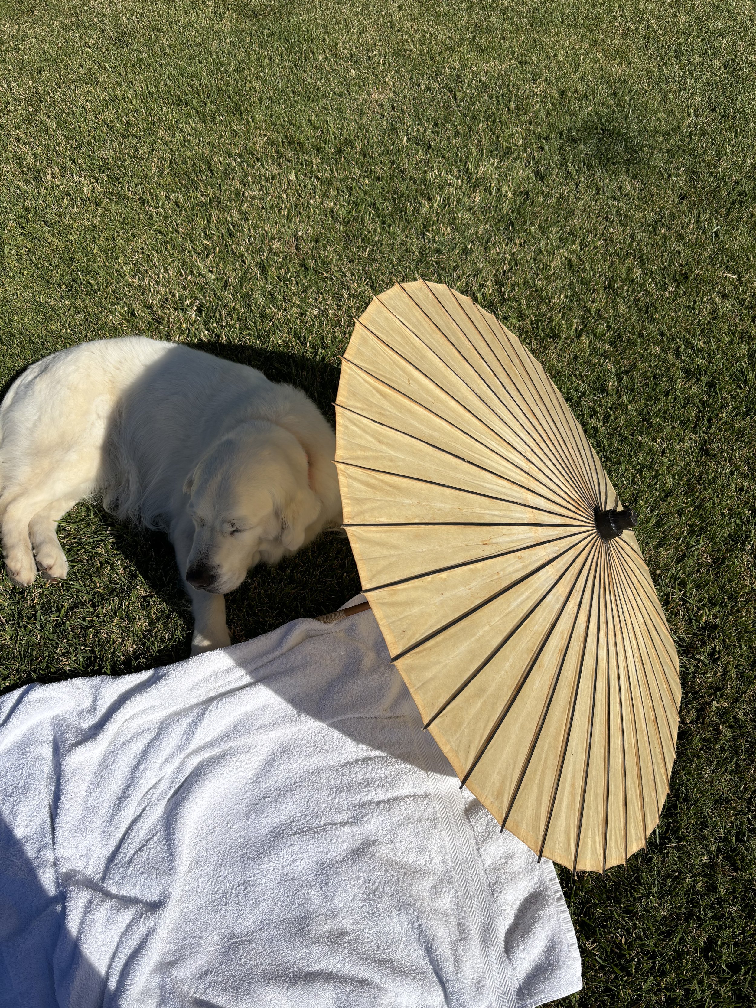 3 perspectives video 